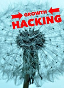 Growth Hacking The women In Business Radio Show website